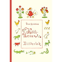 Lilla Piratförlaget Kattresan (inbunden)