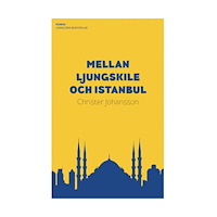 Christer Johansson Mellan Ljungskile och Istanbul (inbunden)