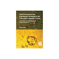 Archaeopress Flint Procurement and Exploitation Strategies in the Late Lower Paleolithic Levant (häftad, eng)