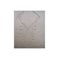 Skira Adriano Amaral (inbunden, eng)