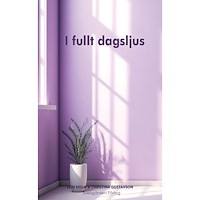 Elin Holm I fullt dagsljus (häftad)