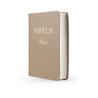 Folkbibeln, Svenska Bibeln SFB 2015, kompakt, brun skinnimitation (inbunden)