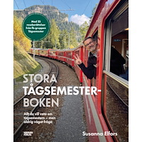 Susanna Elfors Stora tågsemesterboken (bok, kartonnage)