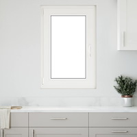 vidaXL Källarfönster RISOR 60 x 100 cm PVC och glas Antracit