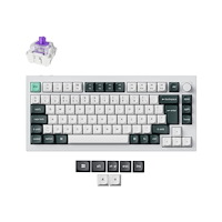 Keychron Keychron Q1 HE - tangentbord - QMK anpassad, helt monterad ratt - 75% - QWERTY - Nordisk - snäckskalsvit Inmatningsenhet