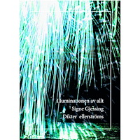 Signe Gjessing Illuminationen av allt (bok, danskt band)