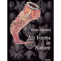 Richard Hartmann Art forms in nature - prints of ernst haekel (häftad, eng)