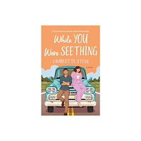 Pan Macmillan While You Were Seething (häftad, eng)