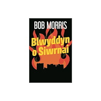 Y Lolfa Blwyddyn o Siwrnai (häftad, wel)