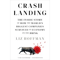 Liz Hoffman Crash Landing (häftad, eng)