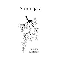 Carolina Klintefelt Stormgata (bok, storpocket)