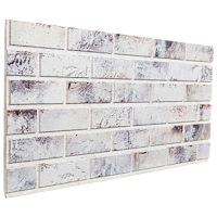 vidaXL Väggpaneler 10 pcs Ljusgrå och svart 100 x 50 cm EPS Skum