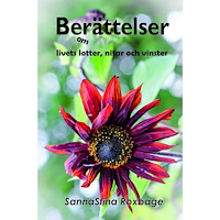 Apec Förlag Berättelser om livets lotter, nitar och vinster (bok, storpocket)