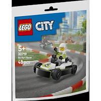 LEGO® LEGO® 30719 Závodník v motokáře