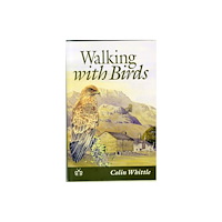 Brambleby Books Walking with Birds (häftad, eng)