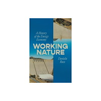 Verso Books Working Nature (häftad, eng)