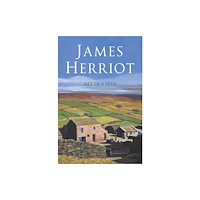 Pan Macmillan Vet in a Spin (häftad, eng)