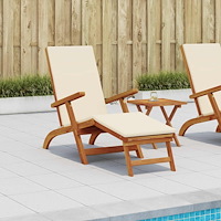 vidaXL Reclining och Fällbar Solstol 55 x 146 x 91 cm
