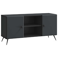 vidaXL TV-skåp Svart 102 x 34,5 x 50 cm Konstruerat trä