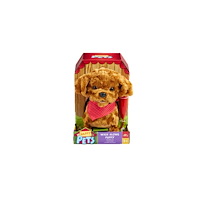 Happy Pets Walk Along Puppy