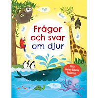 Katie Daynes Frågor och svar om djur (inbunden)