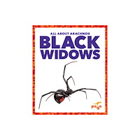 Pogo Books Black Widows (häftad, eng)