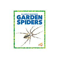 Pogo Books Garden Spiders (häftad, eng)