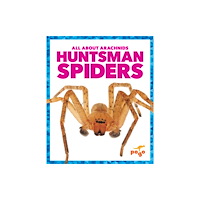 Pogo Books Huntsman Spiders (häftad, eng)