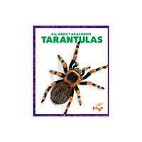 Pogo Books Tarantulas (häftad, eng)