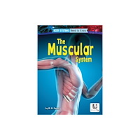 Silvertip Books Muscular System (häftad, eng)