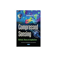Nova Science Publishers Inc Compressed Sensing (häftad, eng)
