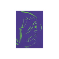 Mousse Publishing Slipping on Fragmented Shapes (häftad, eng)