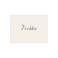 Magic Hour Press Rory Mulligan: Freddie (inbunden, eng)