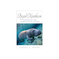 State University of New York Press Beyond Monotheism (häftad, eng)