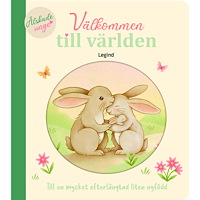 Nina Stajner Välkommen till världen : Till en mycket efterlängtad liten nyfödd (inbunden)