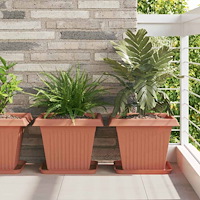 vidaXL Fyrkantig Blomkruka 6 pcs Murgrön 32 x 32 x 2,5 cm Plast