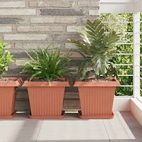 vidaXL Fyrkantig Blomkruka 24 pcs Murgrön 25,5 x 25,5 x 2,5 cm Plast