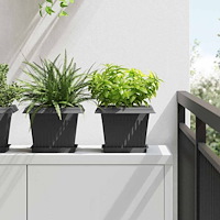 vidaXL Fyrkantig Blomkruka 24 pcs Svart 18 x 18 x 2 cm Plast