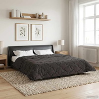 vidaXL Vinter Täcke Antracit 200 x 200 cm Mikrofiber och Teddyfleece