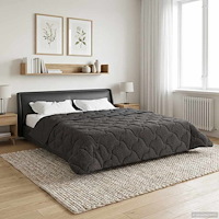 vidaXL Vinter Täcke Antracit 220 x 260 cm Mikrofiber och Teddyfleece