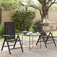 vidaXL Fällbara trädgårdsstolar 2 pcs Svart 58 x 73 x 111,5 cm