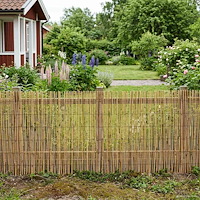 vidaXL Trädgårdsstängsel Karbomiserad 400 x 100 cm Vass