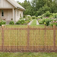 vidaXL Trädgårdsstängsel Karbomiserad 300 x 100 cm Vass