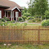 vidaXL Trädgårdsstängsel Karbomiserad 300 x 80 cm Vass