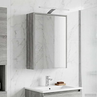 vidaXL Badrumsspegelskåp Grå Sonoma 43 x 16 x 62.5 cm Konstruerat trä