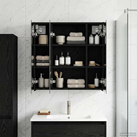 vidaXL Badrumsspegelskåp Svart Ek 63,5 x 16 x 62,5 cm Konstruerat trä