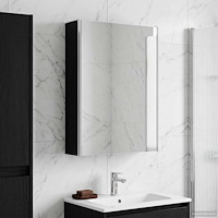 vidaXL Badrumsspegelskåp Svart Ek 53,5 x 15,5 x 70 cm Konstruerat trä