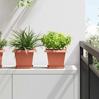 vidaXL Växtkrukor 6 pcs Murgrön 20 x 20 x 16 cm Plast