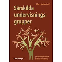 Max Hjorton Särskilda undervisningsgrupper : perspektiv på lärande, stöd och inkludering (häftad)