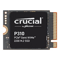 Crucial Crucial P310